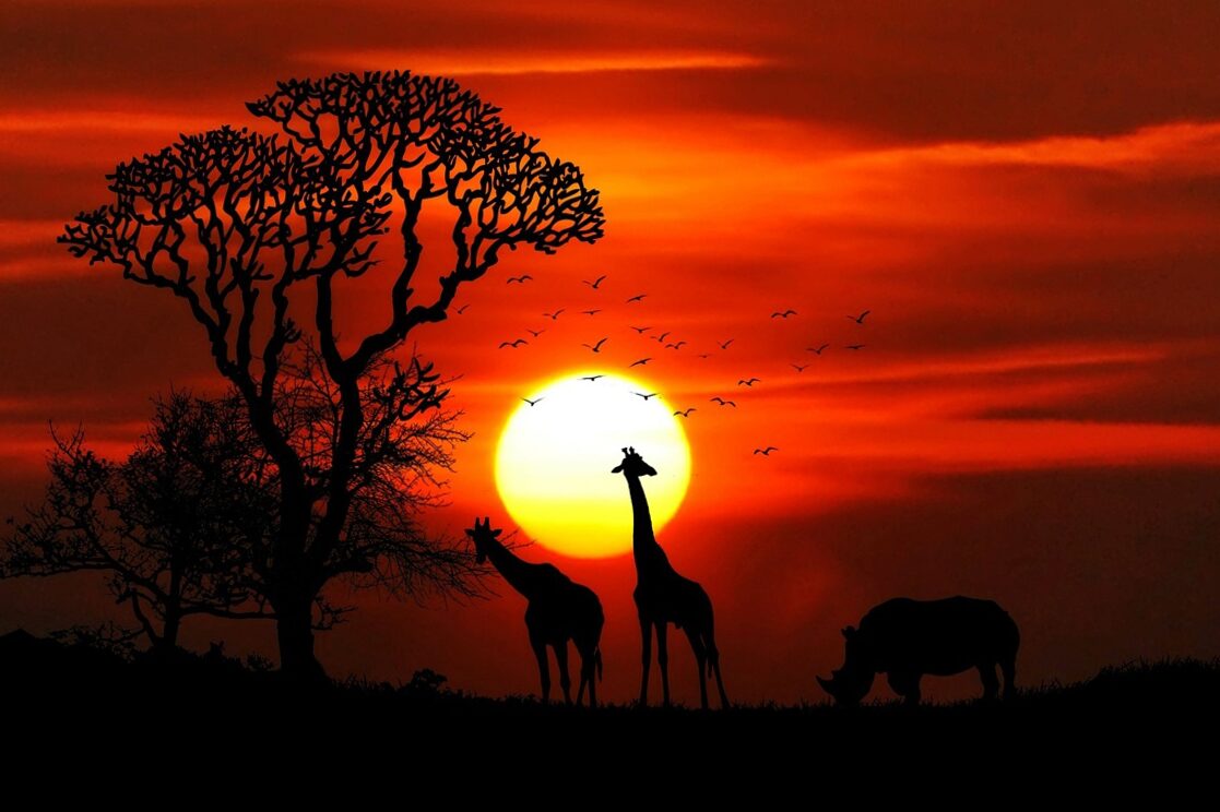 Dónde ver las mejores puestas de sol del mundo